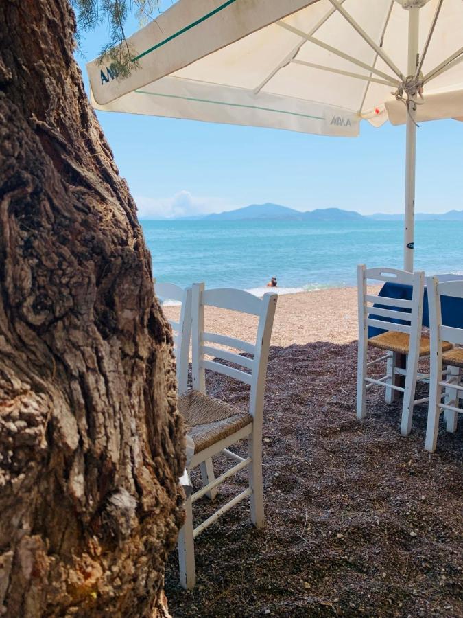 Villa ,,Sea Breeze,, - Home By The Sea เนอา อันคิอาลอส ภายนอก รูปภาพ
